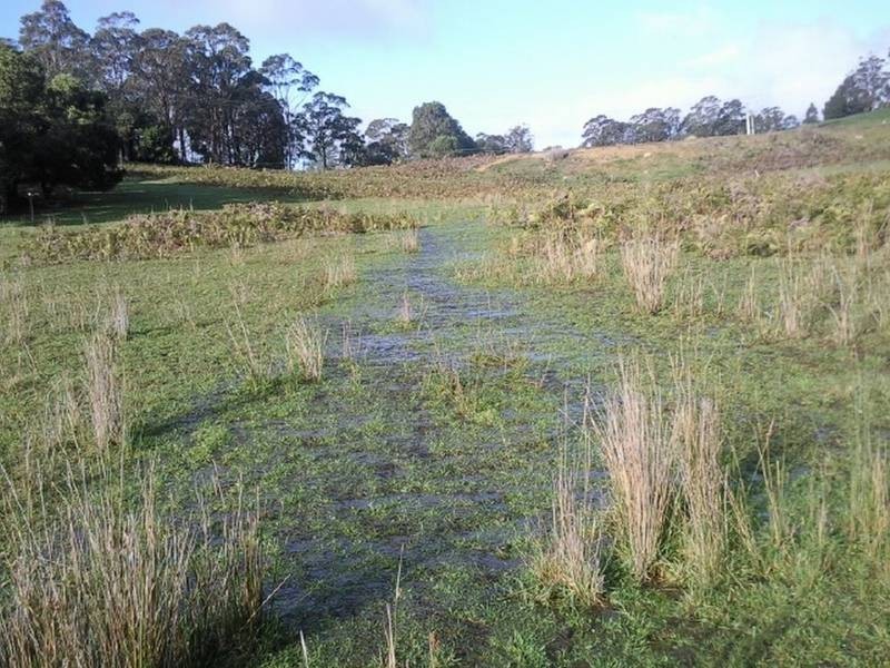 Lot 2, 2526 Arthur Highway, Copping TAS 7174