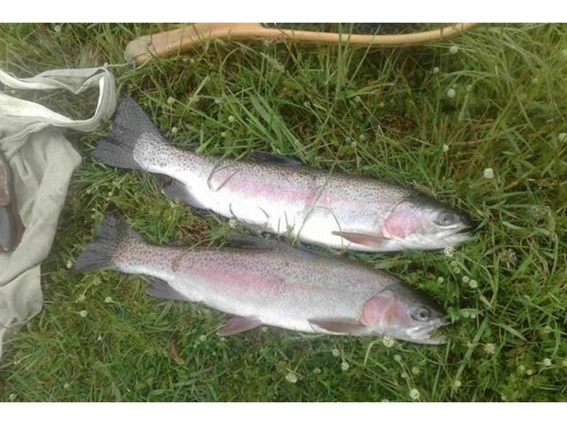 Lot 2, 2526 Arthur Highway, Copping TAS 7174