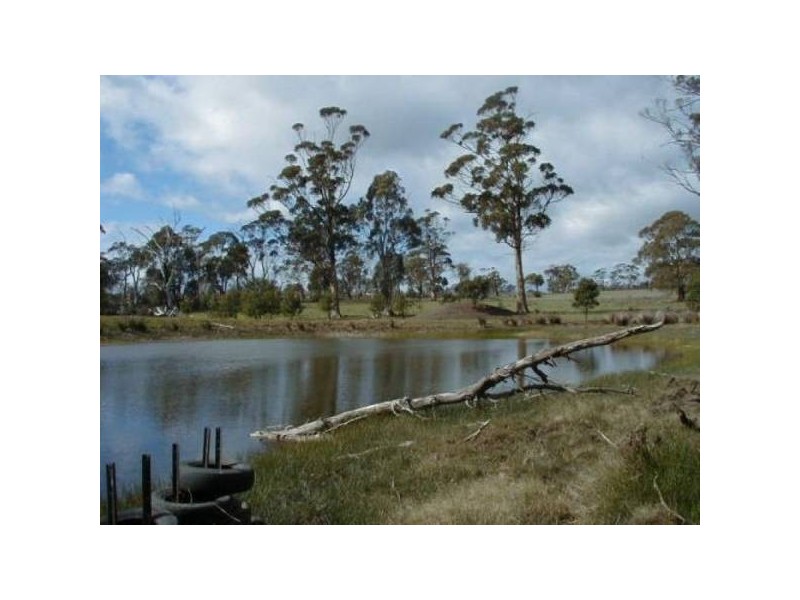 10746 Tasman Highway, Little Swanport TAS 7190