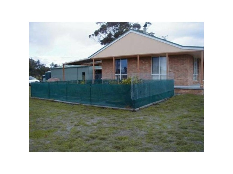 10746 Tasman Highway, Little Swanport TAS 7190