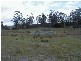 10746 Tasman Highway, Little Swanport TAS 7190