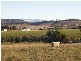 96 Greens Road, Orielton TAS 7172