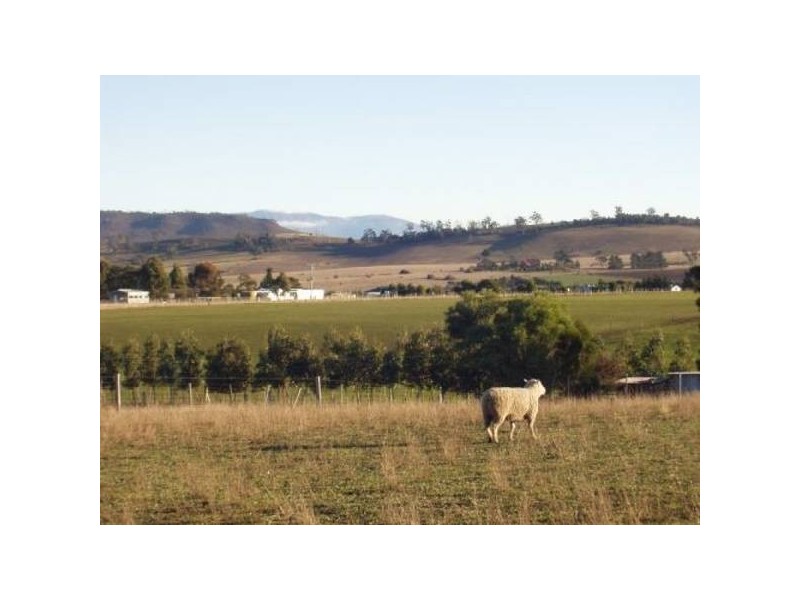 96 Greens Road, Orielton TAS 7172
