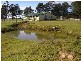 50 New Country Marsh Road, Levendale TAS 7120
