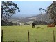 50 New Country Marsh Road, Levendale TAS 7120