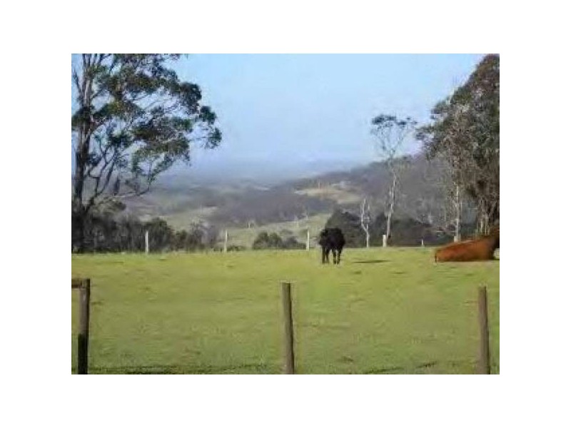 50 New Country Marsh Road, Levendale TAS 7120