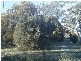 15 Protea Street, Primrose Sands TAS 7173