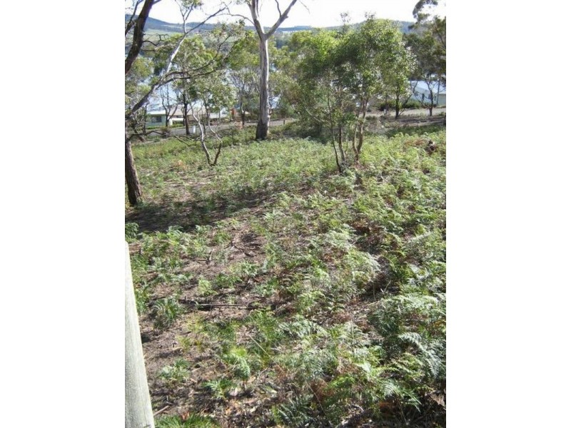 4 Wedgetail Street, Primrose Sands TAS 7173