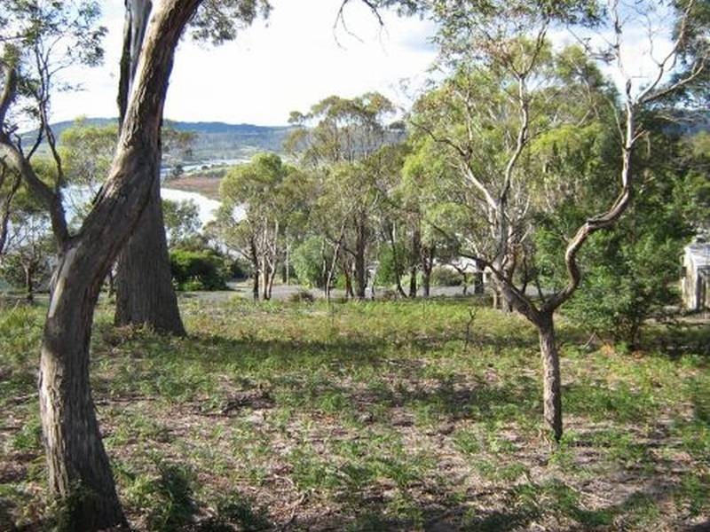 4 Wedgetail Street, Primrose Sands TAS 7173