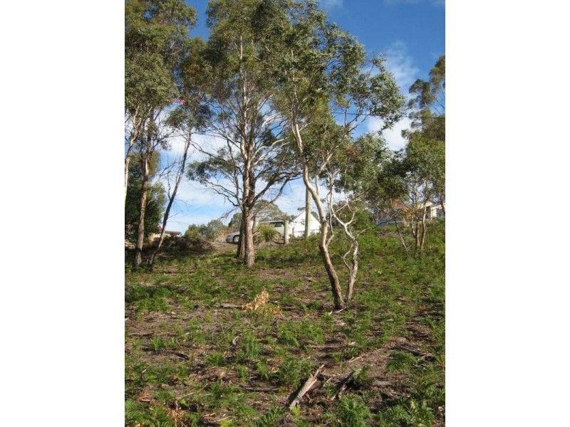 4 Wedgetail Street, Primrose Sands TAS 7173