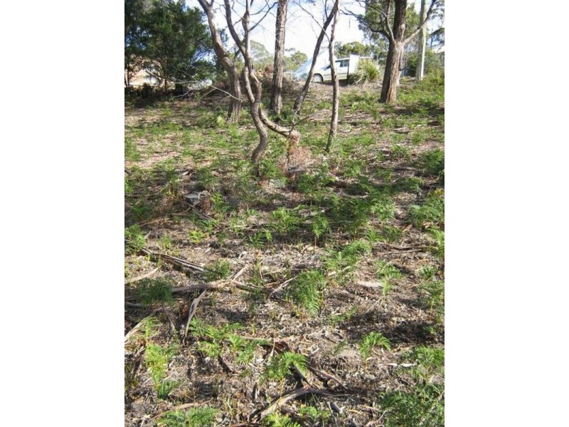 4 Wedgetail Street, Primrose Sands TAS 7173