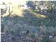 14 Bracken Court, Dodges Ferry TAS 7173