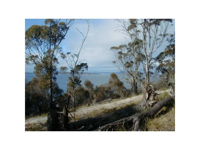 31 Carlton Bluff Road, Primrose Sands TAS 7173