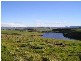 11 Moorpark Court, Forcett TAS 7173