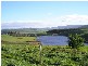 11 Moorpark Court, Forcett TAS 7173