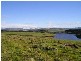 11 Moorpark Court, Forcett TAS 7173