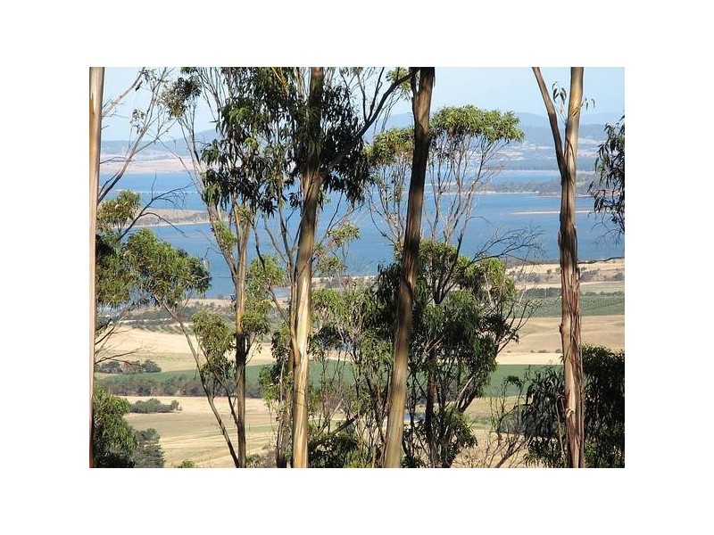 87 Thomas Street, Dulcot TAS 7025