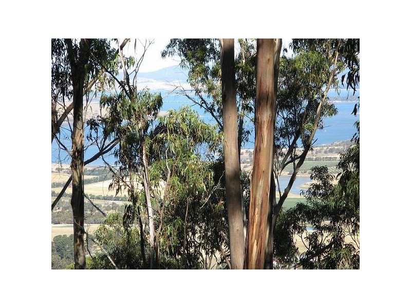 87 Thomas Street, Dulcot TAS 7025