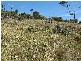 11 White Beach Road, White Beach TAS 7184