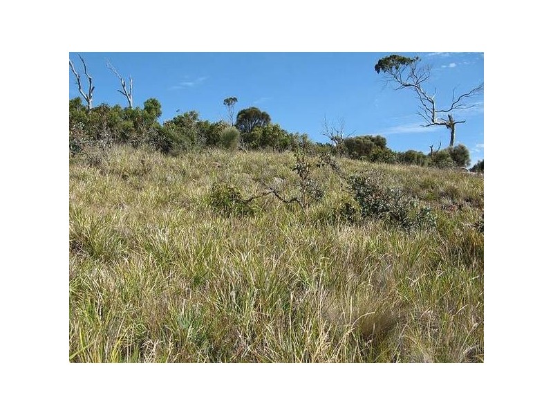 11 White Beach Road, White Beach TAS 7184