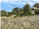 11 White Beach Road, White Beach TAS 7184