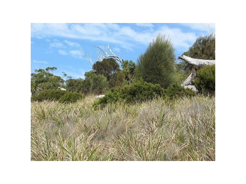 11 White Beach Road, White Beach TAS 7184