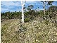 11 White Beach Road, White Beach TAS 7184