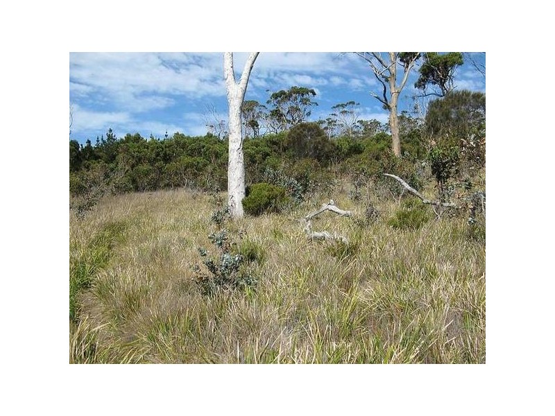11 White Beach Road, White Beach TAS 7184