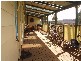 50 New Country Marsh Road, Levendale TAS 7120