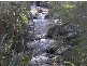50 New Country Marsh Road, Levendale TAS 7120