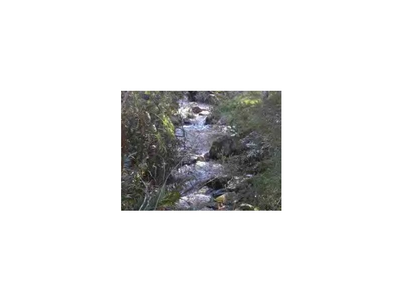 50 New Country Marsh Road, Levendale TAS 7120
