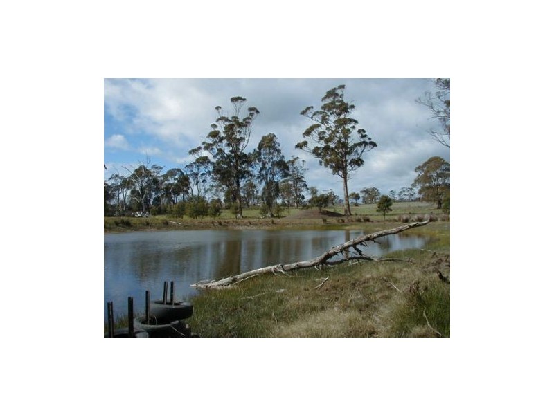 10746 Tasman Highway, Little Swanport TAS 7190