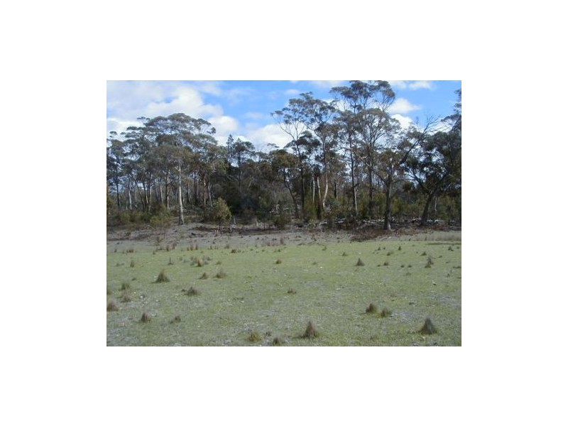 10746 Tasman Highway, Little Swanport TAS 7190