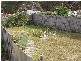 14 Rowan Avenue, Primrose Sands TAS 7173
