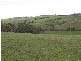 2 Shrub End Road, Wattle Hill TAS 7172