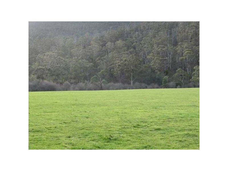 2 Shrub End Road, Wattle Hill TAS 7172
