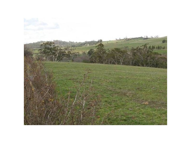 2 Shrub End Road, Wattle Hill TAS 7172