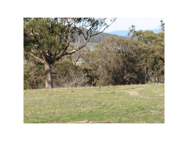 5 Josephs Road, Carlton TAS 7173