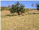 1189 Native Corners Road, Campania TAS 7026