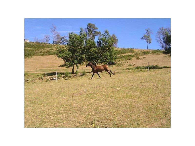 1189 Native Corners Road, Campania TAS 7026