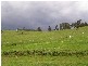 1189 Native Corners Road, Campania TAS 7026