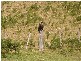 1189 Native Corners Road, Campania TAS 7026