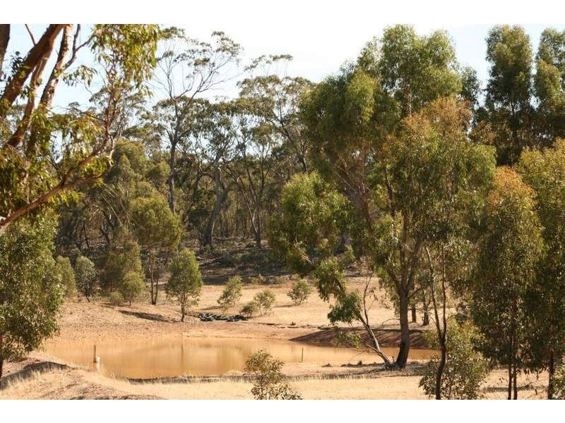 17 Forster Lane, Landsborough VIC 3384