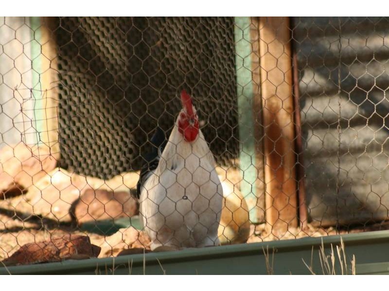 17 Forster Lane, Landsborough VIC 3384