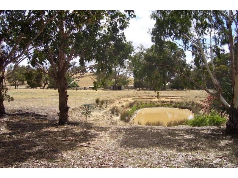 1546 Pyrenees Highway, Amphitheatre VIC 3468