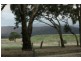 Lot 52,  Boundary Road, Elmhurst VIC 3469