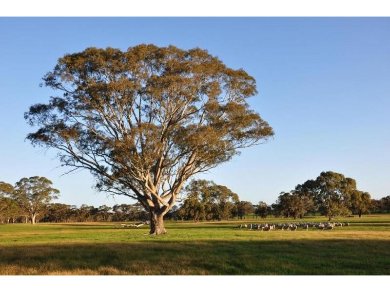 Corner Saw Pit Flat Road & New Years Day Road, Ararat VIC 3377