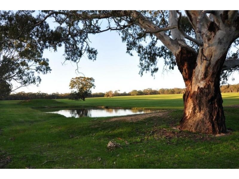 Corner Saw Pit Flat Road & New Years Day Road, Ararat VIC 3377