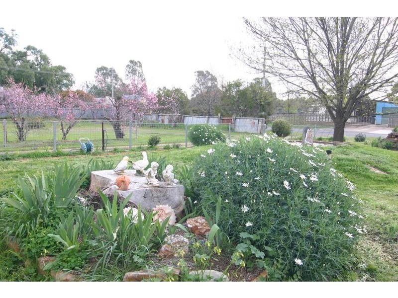 54 McKinlay Street, Landsborough VIC 3384