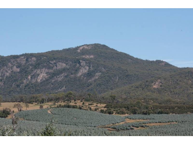 Crown Allotment 32, Warrak VIC 3377